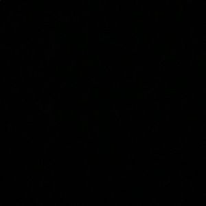 Meet your Posher, Araseli